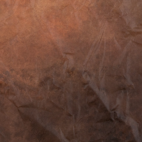 Flesh of the Earth by Aileen Fitzgerald