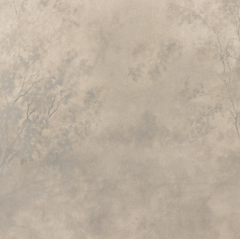 The Clearing By Aileen Fitzgerald