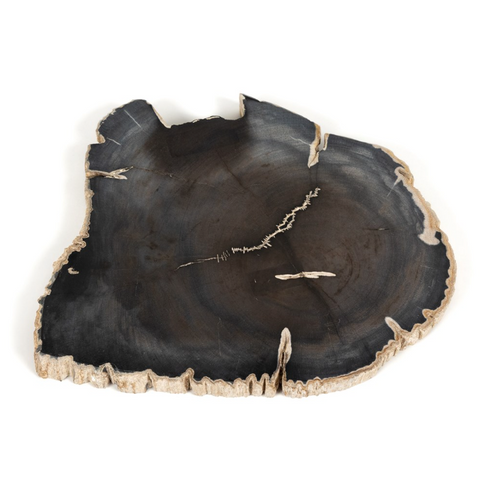 Petrified Wood Slab - Dark Petrified Wood