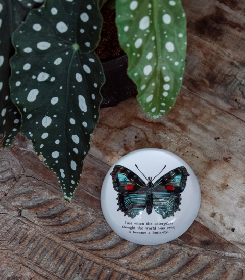Butterfly - Paperweight