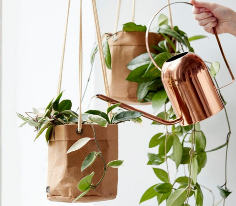 Hardy Hanging Planters - Small