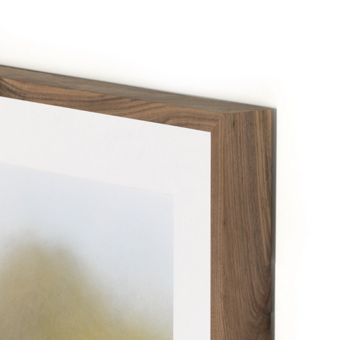 Skyline Film North Shore Overlook by Toni Toscano