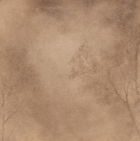 Roam by Aileen Fitzgerald