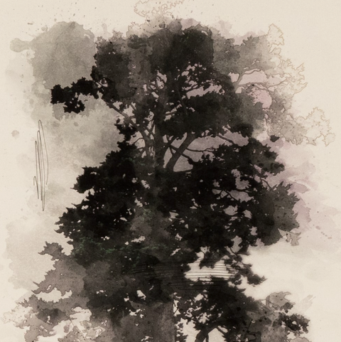 Tree Sketch I by Coup D'Esprit