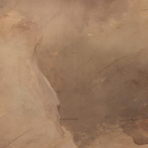 Mushroom Fields by Molly Supplee