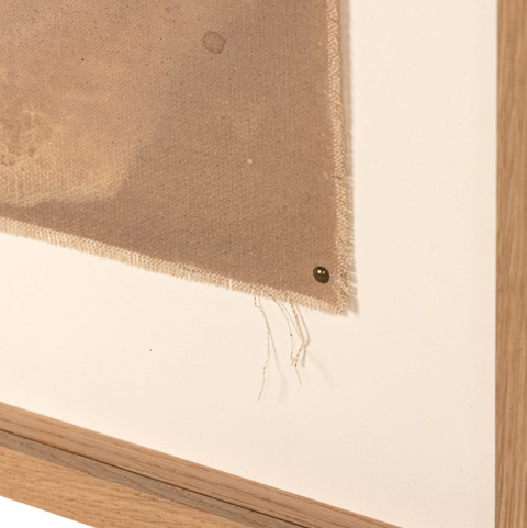 Mushroom Fields by Molly Supplee