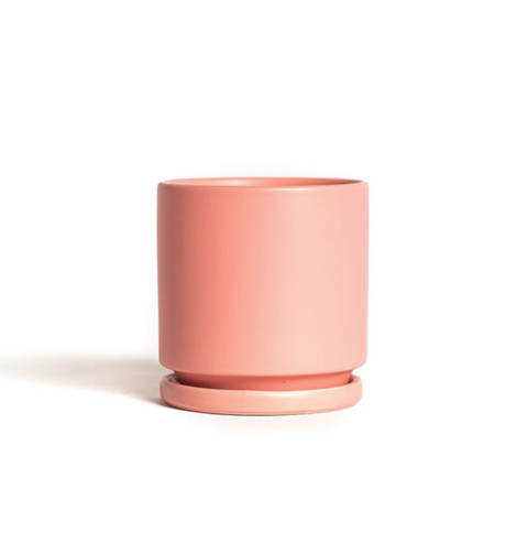 Cylinder Pots with Water Saucers - Bubblegum