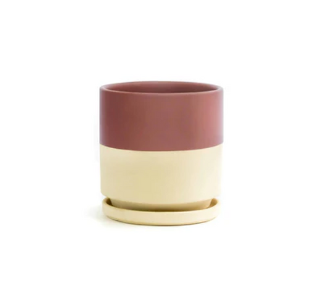 Cylinder Pots with Water Saucers - Top Half Dusty Rose
