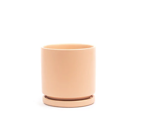 Cylinder Pots with Water Saucers - Blush