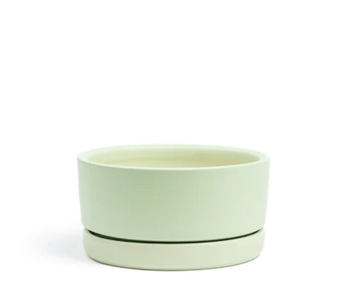 Low-Bowls with Water Saucers - Sage