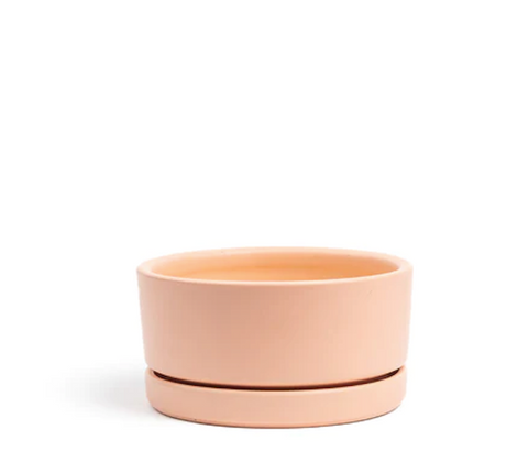 Low-Bowls with Water Saucers - Blush