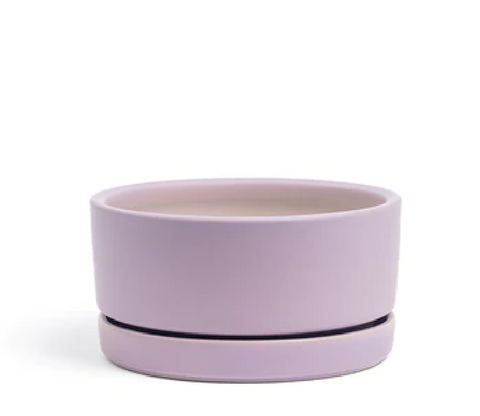 Low-Bowls with Water Saucers - Lavender