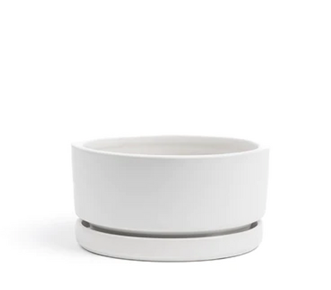 Low-Bowls with Water Saucers -White