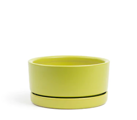 Low-Bowls with Water Saucers -Lime Green