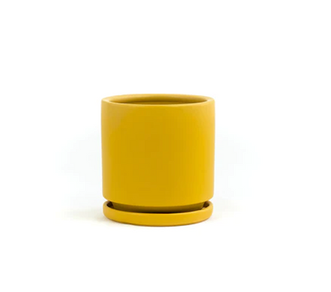 Cylinder Pots with Water Saucers - Mustard