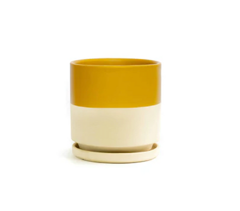 Cylinder Pots with Water Saucers - Top Half Mustard