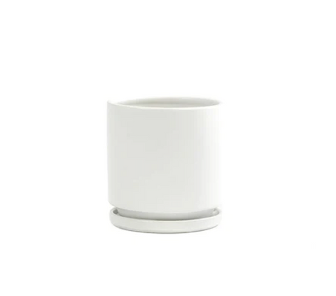 Cylinder Pots with Water Saucers - White