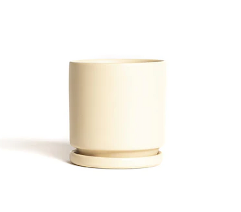 Cylinder Pots with Water Saucers - Almond