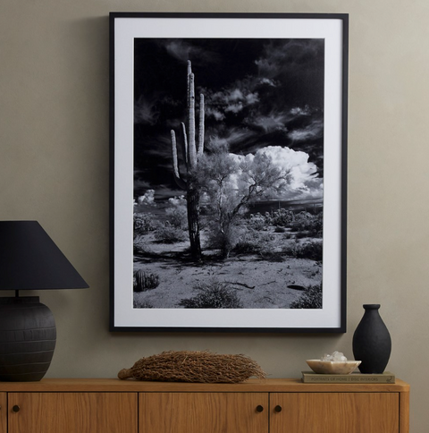 Sonoran Desert By Getty- Black Maple