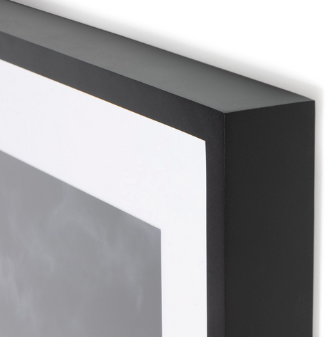 Sonoran Desert By Getty- Black Maple