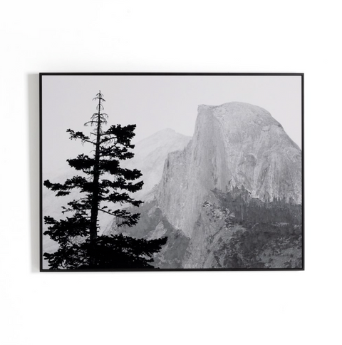 Half Dome From Glacier Point By Getty - Black Maple