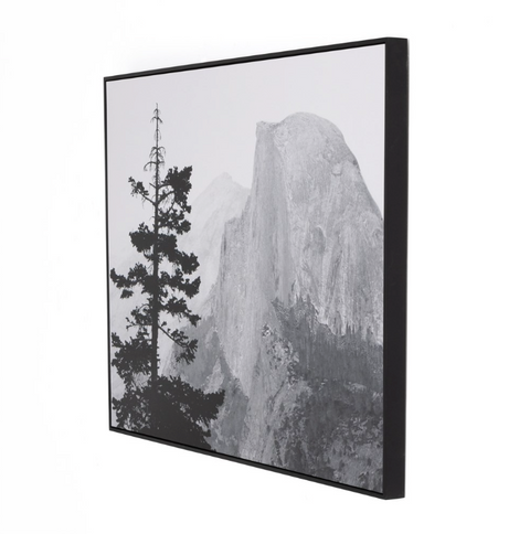 Half Dome From Glacier Point By Getty - Black Maple