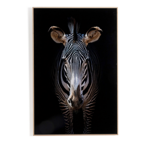 Zebra Stare By Getty Images - 32"x48"