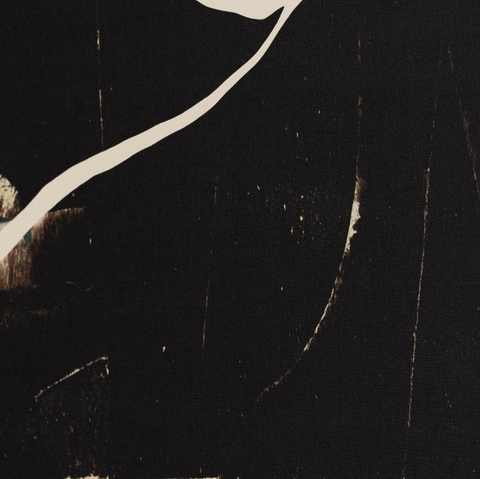 Ecelectic by Dan Hobday