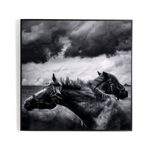 Horses Pair By Getty Images-24 x 24"