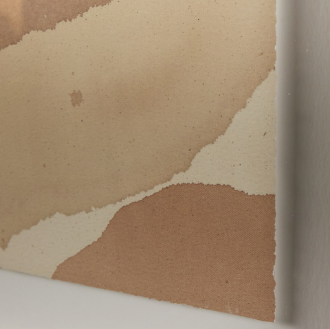 Pebble of Truth by Molly Franken