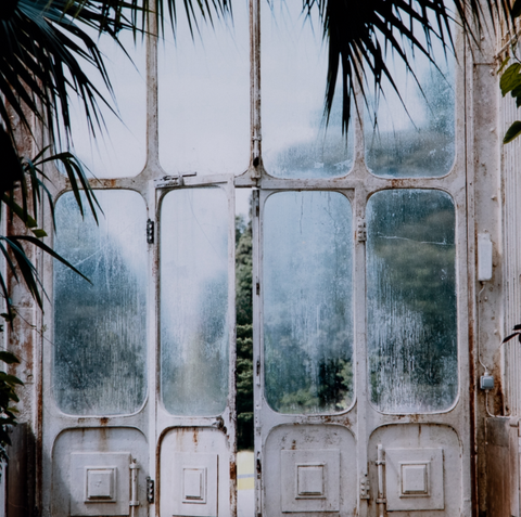 Greenhouse II By Annie Spratt
