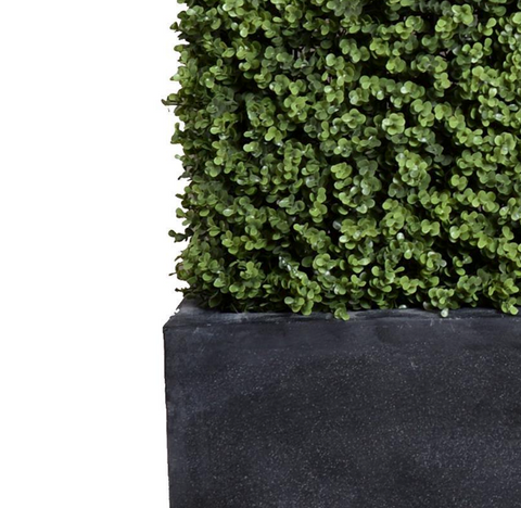 Boxwood Hedge with planter - 42"L x 62"H - IN STOCK