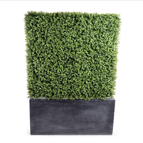 Boxwood Hedge with planter - 42"L x 62"H - IN STOCK