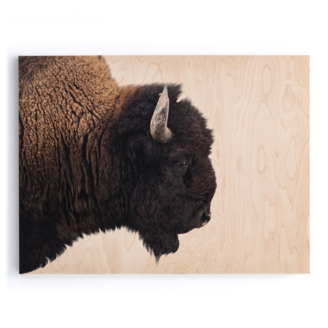 American Bison-Maple Box - 60" X 40"