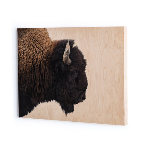 American Bison-Maple Box - 60" X 40"