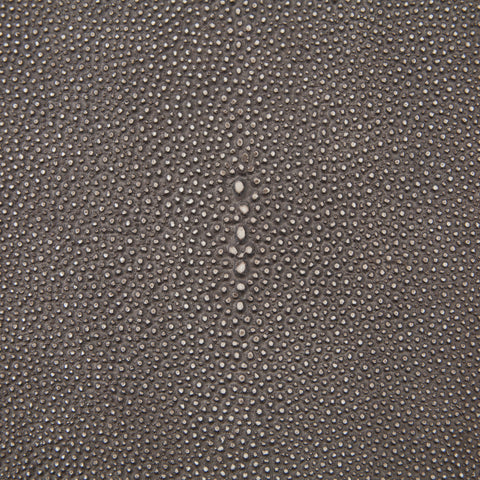 Shagreen Desk- Stainless/Brown