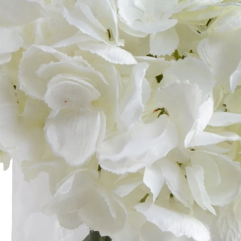 Hydrangea Arrangement - White