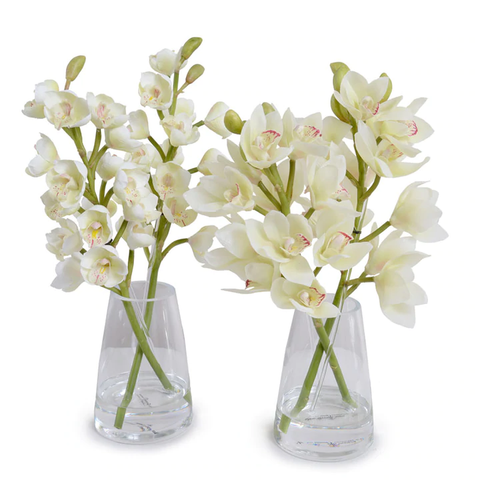 Cymbidium Orchid in Glass - White