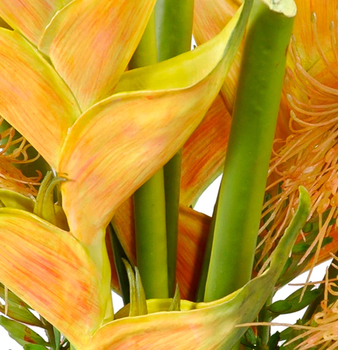 Heliconia in Glass - Yellow
