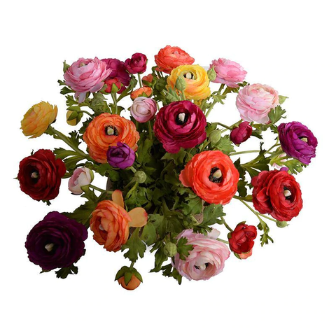 Ranunculus Centerpiece in Terracotta Bowl - Mixed