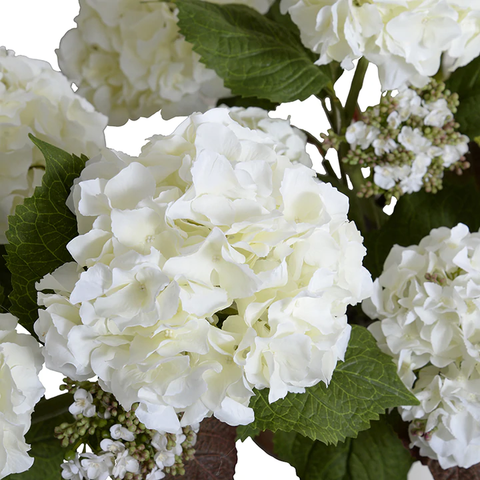 Hydrangea Bush, Small, 22"H - White