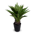Agave Americana Plant in Tall Round Pot, 32"H
