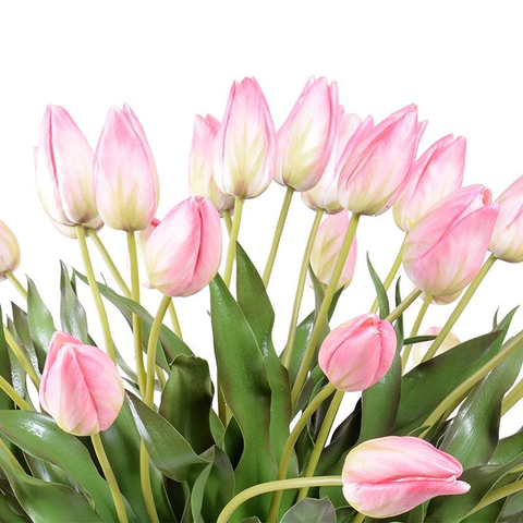 Tulip Arrangement - Pink-White