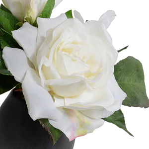 Gardenia, White Rose in Ceramic Egg Vase