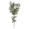 Olive Tree Branch, 67" L
