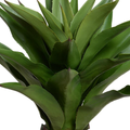 Agave Americana Plant in Tall Round Pot, 32"H