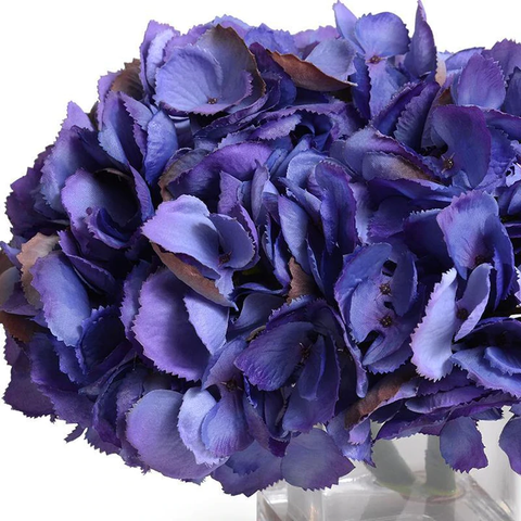 Hydrangea Arrangement - Purple