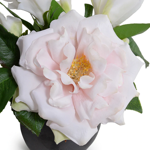 Gardenia, Pink Rose in Ceramic Egg Vase