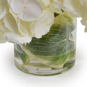 Hydrangea Arrangement - Cream