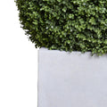 28" Boxwood Ball in Square Pot, 42"H - IN STOCK